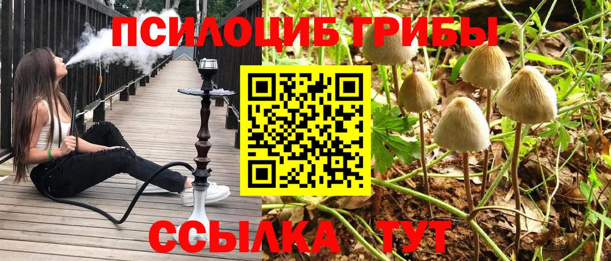 Галлюциногенные грибы мухоморы  Вход с VPN  Реж 